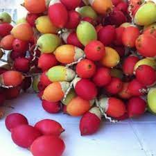 buah palem raja